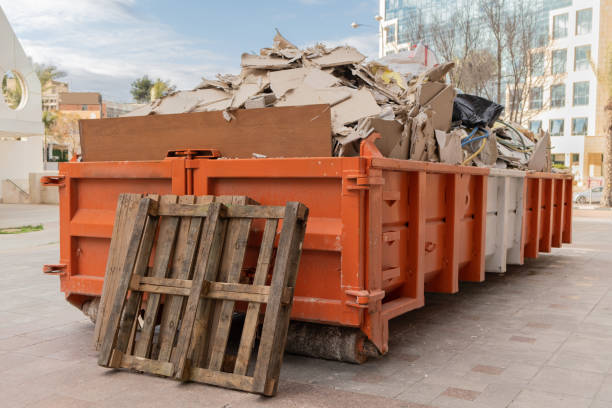 Best Professional Junk Removal  in Eagle Lake, MN